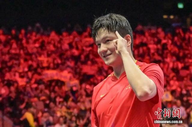 媒体：樊振东伤痕不再可见