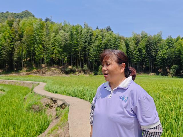 赤水：晨练打拳夜蹦迪 避暑还能“赚”稻香