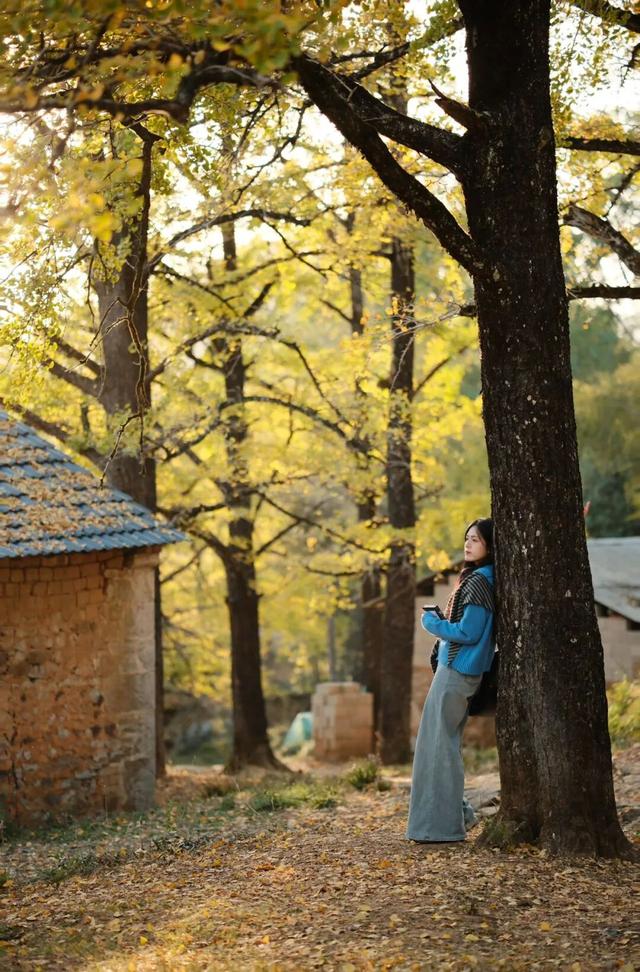 八桂冬日似春朝 赏花观叶正当时