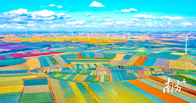 不光是盛典！12月20日，徐闻给你一个必来的理由