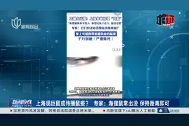 上海现巨鼠或传播鼠疫？专家：海狸鼠常出没 保持距离即可