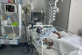 看杂技，直播间见丨大象深度图片