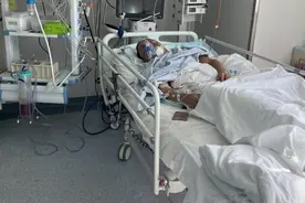 看杂技，直播间见丨大象深度图片