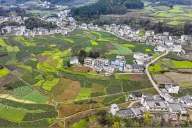 2025年“三农”工作怎么干？三个关键词解读图片