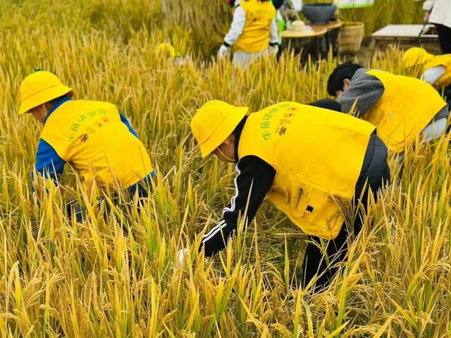 来宿城，解锁N种田园撒欢方式！