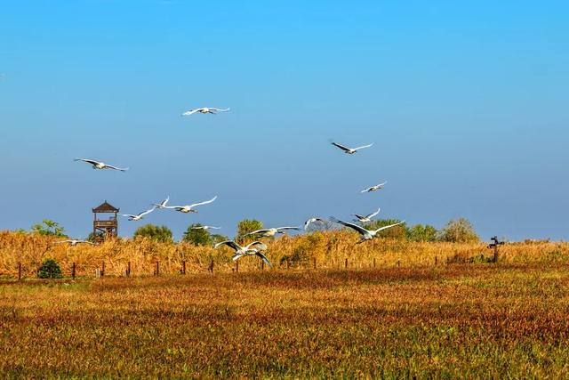 追逐秋色三千里：从北疆到徽州