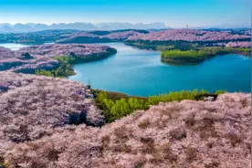 贵阳贵安2025最全赏花攻略来了！图片