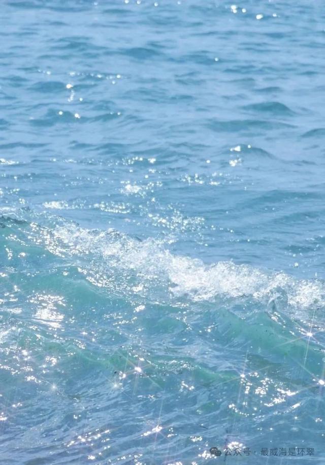 威海七月惊现 “玻璃海”，错过这次再等一年！