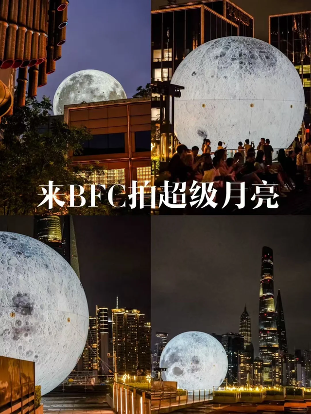 上海中秋“寻兔”地图！它们在这些地方，等你来偶遇！