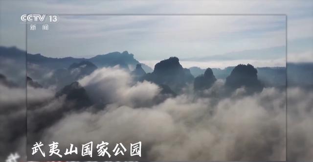 生命摇篮、绿色肺叶……万米高空看“大美国家公园”有啥亮点