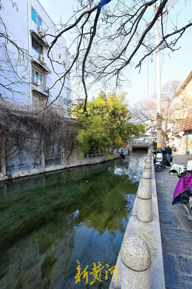 泉水流淌，寒冬于家桥景如仲春