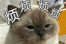 还了共享充电宝还被扣99元？万余条投诉涉及搜电、来电、街电、咻电等图片