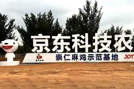 京东智慧农场落地崇仁，打造再一个“京东跑步鸡”图片