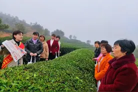 巾帼大宣讲接力行丨宁德站：把宣讲送到妇女身边 把精神讲进妇女心坎图片