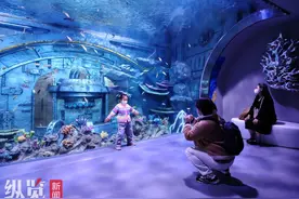 新春走基层｜这座海洋馆建在花海景区图片