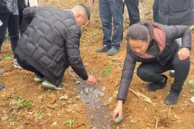 仁怀：探索“高粱+马铃薯”套种新模式图片