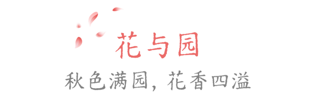 没有一朵花瓣能飘出洛阳