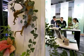 15年见证“城市，让生活更美好” “世博与我”系列再出合集图片