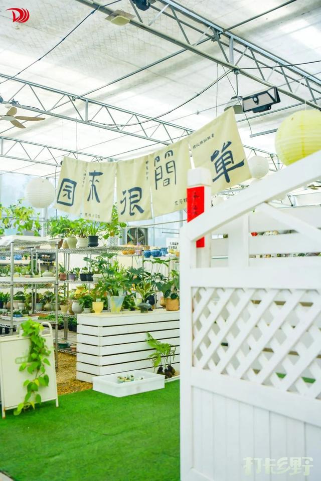 打卡乡野丨当云朵“坠”入窗沿，我在魔都近郊找到了现实版“归园田居”