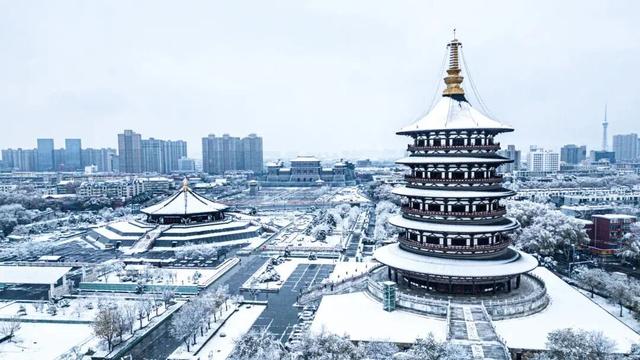 出色！洛阳这些最美场景等你解锁