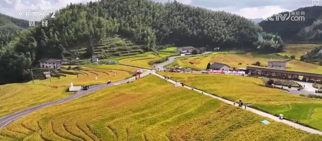 多彩秋日让游客“留下来赏秋、住下来体验” 带火多样化文旅消费