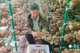 小园区点亮希望之光 助残共富发挥大作用     ——宁陕县青龙娅村残疾人产业就业示范园区典型案例图片