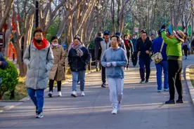 百花公园的“玉兰大道”图片