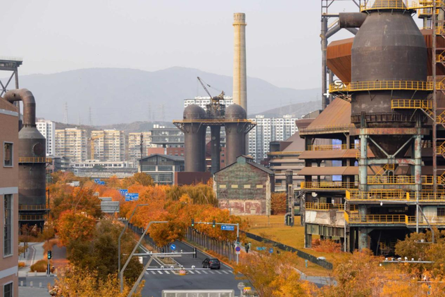 多彩京秋丨全市彩叶树变色率播报（2025.11.13）