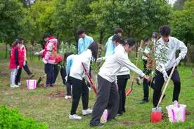 从大运会到世运会，成都志愿者植树节共护志愿者林图片