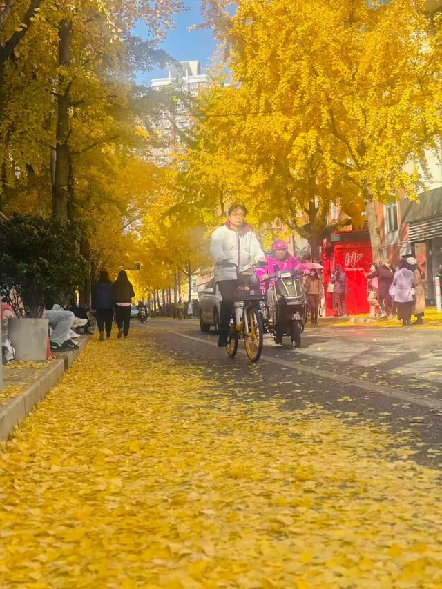 上海市中心“黄金大道”已上线！还有绝美银杏露台→