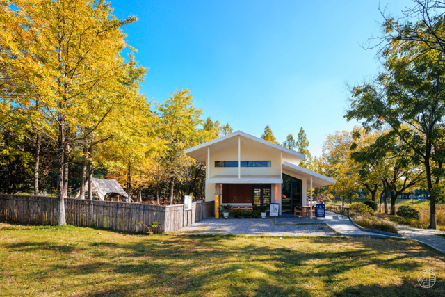 降温了，躲进东湖暖咖，独享封神秋景！