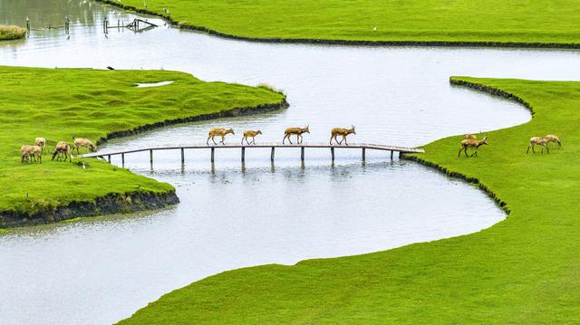 各地多款福利上线！冬游这些优惠别错过