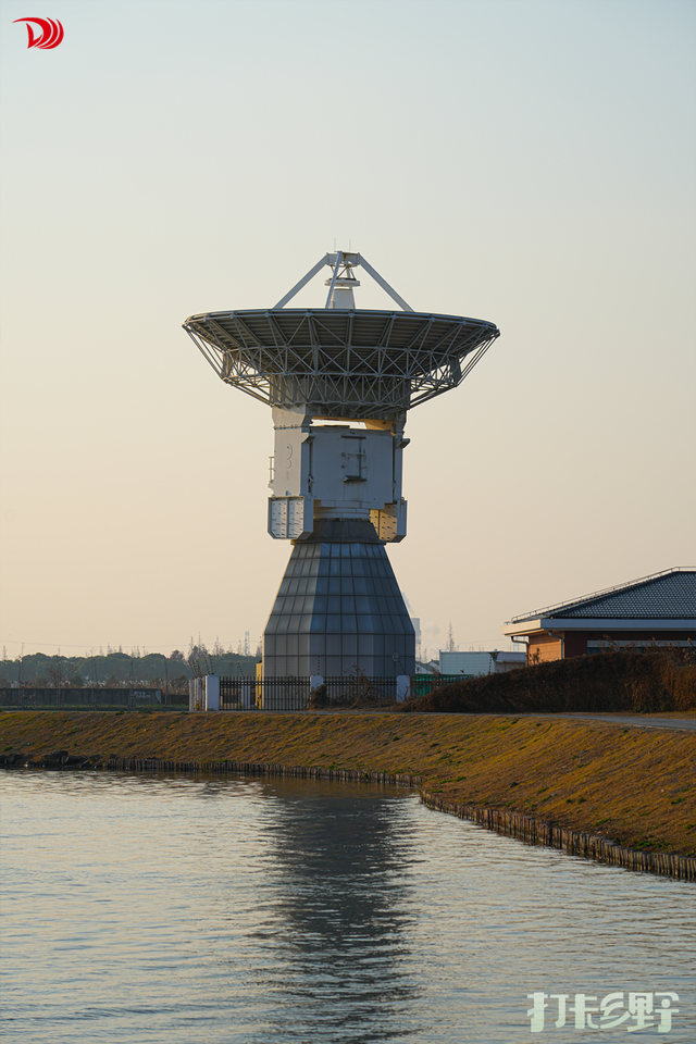 打卡乡野丨新年第一站，去上海离宇宙最近的村子，仰望星空，脚踏田野，开启元气新年