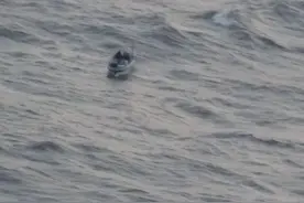 争分夺秒！夜幕降临前 直升机救生员飞身入海救3人图片