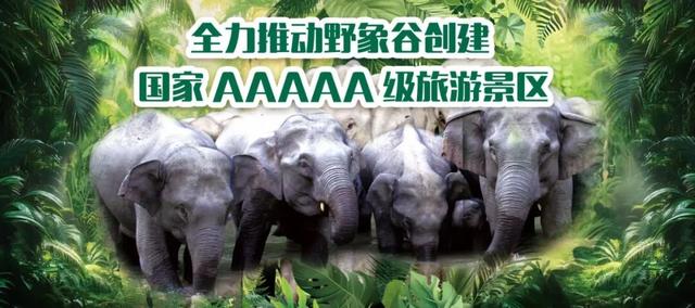 首破200万！打洛口岸出入境客流量刷新纪录