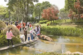 光明区开展“世界水日”主题宣传活动图片