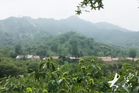 最忆是乡间丨走兽图片