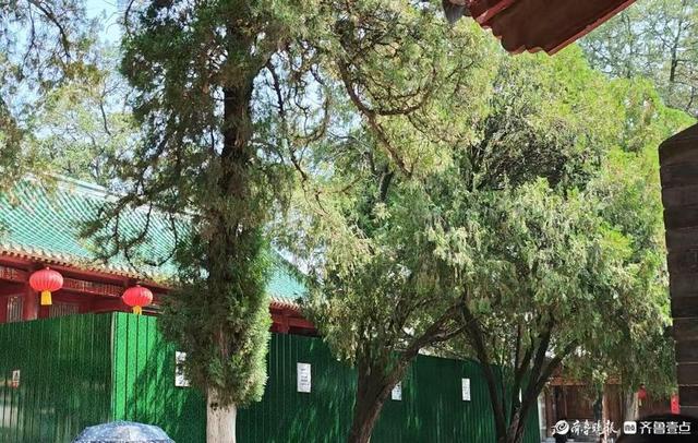 风暴下的少林寺