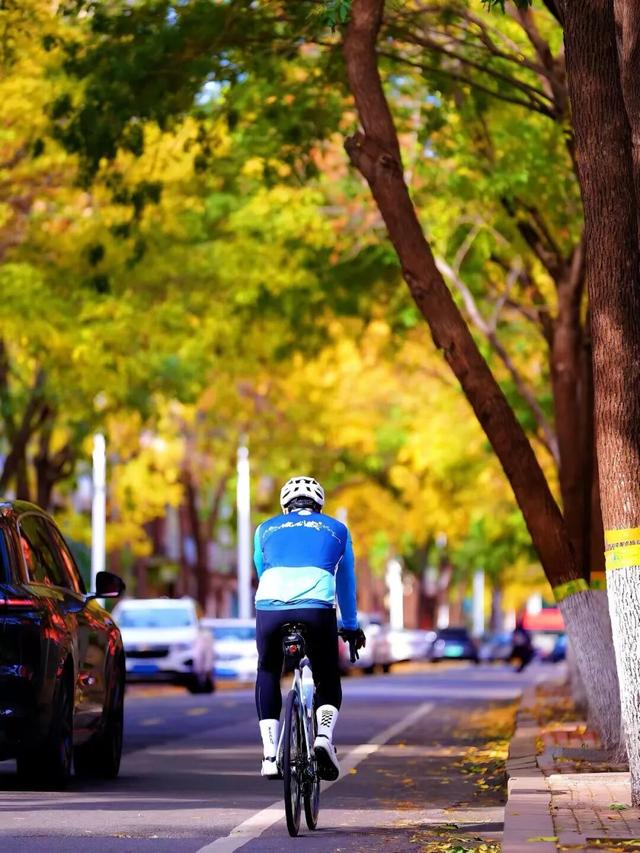 太美了！这里是日照万安路