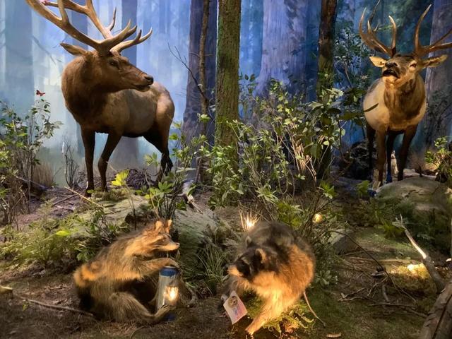 全部免费！郑州适合降温天遛娃的7个室内场馆→