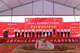 上海松江启动新一轮“城中村”改造，首个项目落子石湖荡镇图片