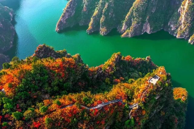 何处红叶醉人眼？何物最暖游子心？