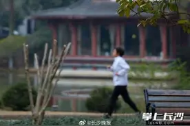 好美！长沙的樱花开了图片