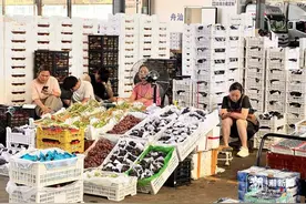 明天出梅，应季主力军葡萄大面积上市，价格如何？本地货啥时上？图片