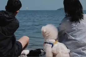 带着宠物去旅行，“它经济”奔新赛道图片