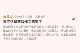 寒假作文可以入选语文课本？网友：思念因文字“震耳欲聋”图片