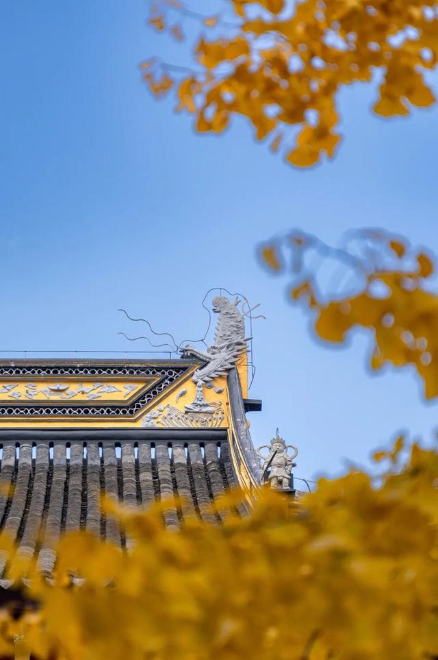 姑苏早点来丨一碗素面，一院金黄