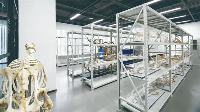 成都全面推动文物事业高质量发展