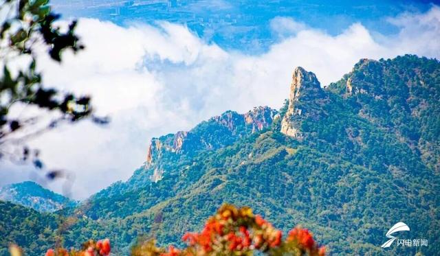 组图丨秋日登高 看泰山花楸染红岱顶
