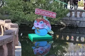 潮评丨趵突泉锦鲤要减肥，想让锦鲤管住嘴游客就得管住手图片